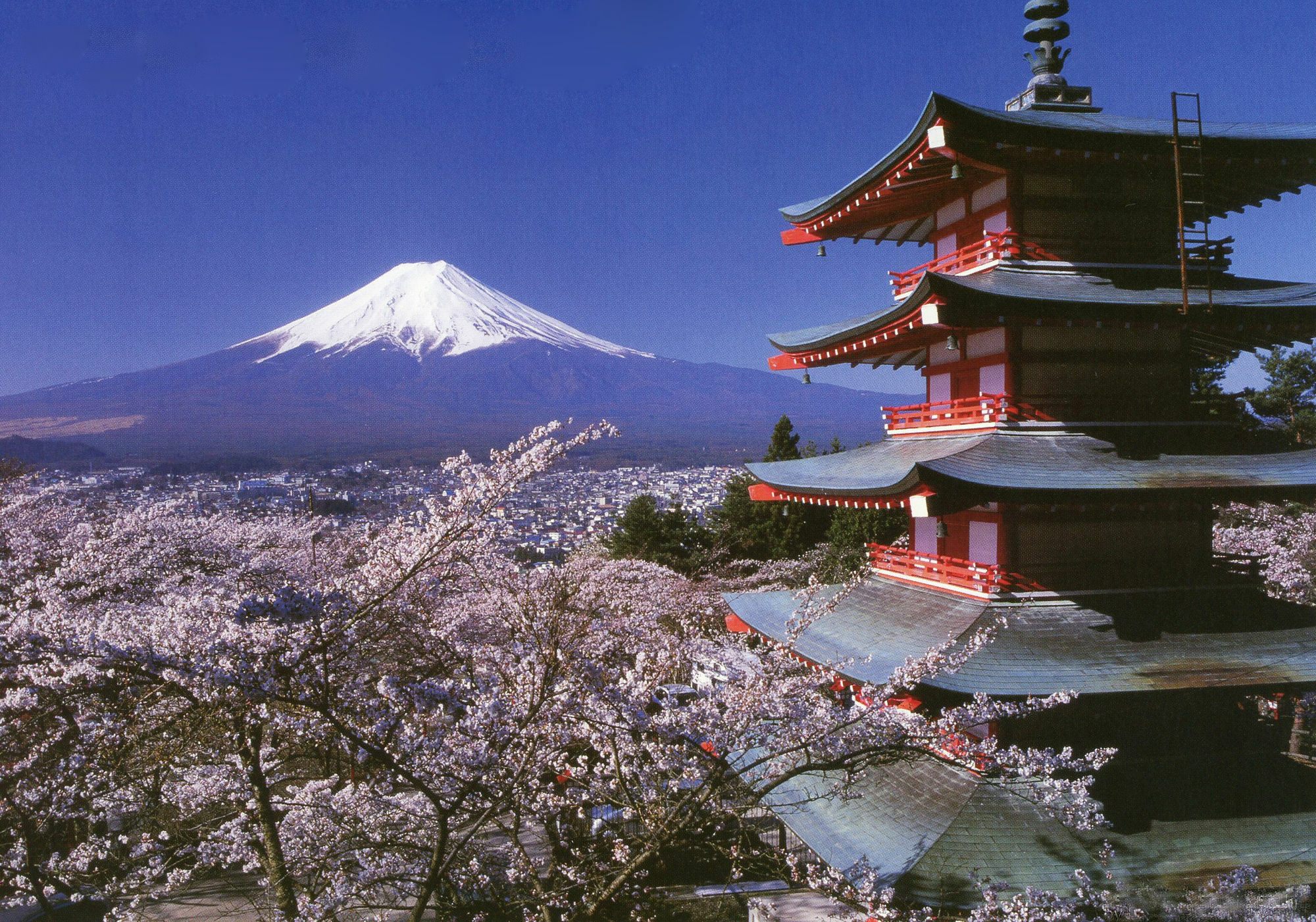Mt Fuji Hostel Michael'S Фуджийошида Екстериор снимка